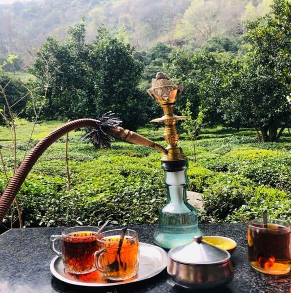 عکس چای قلیان