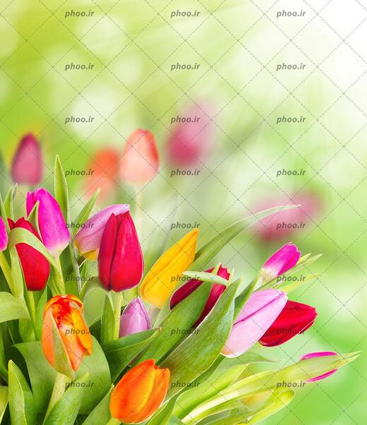 عکس نور خورشید زیبا