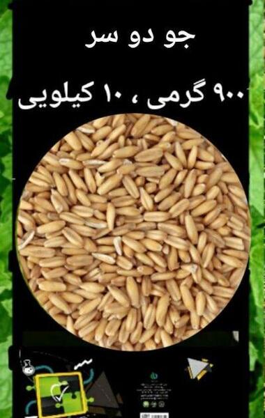 عکس جو دوسر