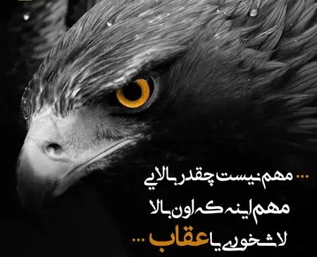 عکس نوشته تیکه دار لیاقت