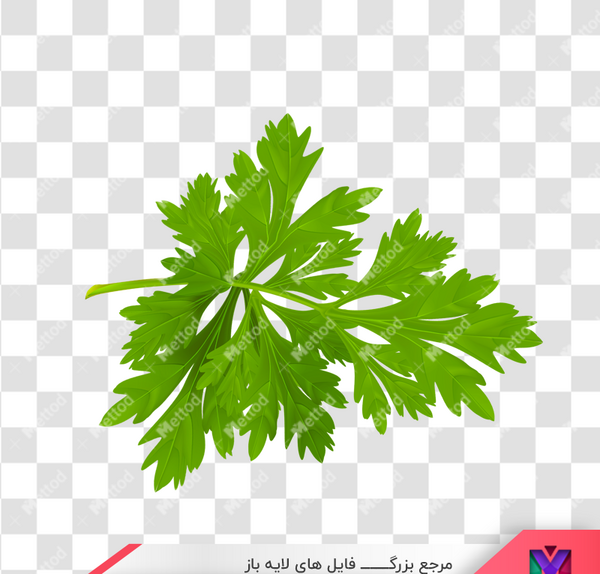 عکس جعفری