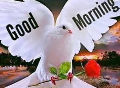 عکس صبح بخیر لری