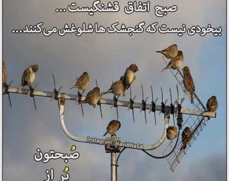 عکس صبح بخیر لری