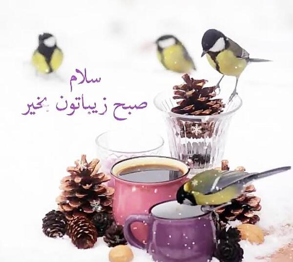 عکس صبح بخیر لری