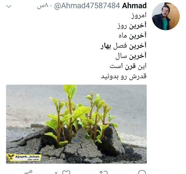 عکس نوشته آخرین بهار قرن