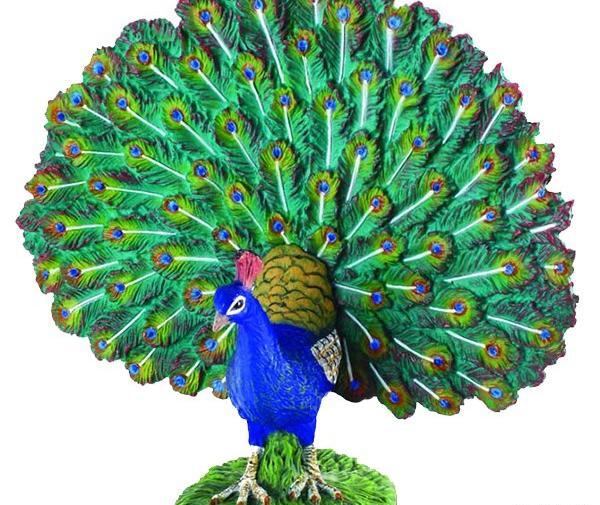 عکس طاووس عروسکی