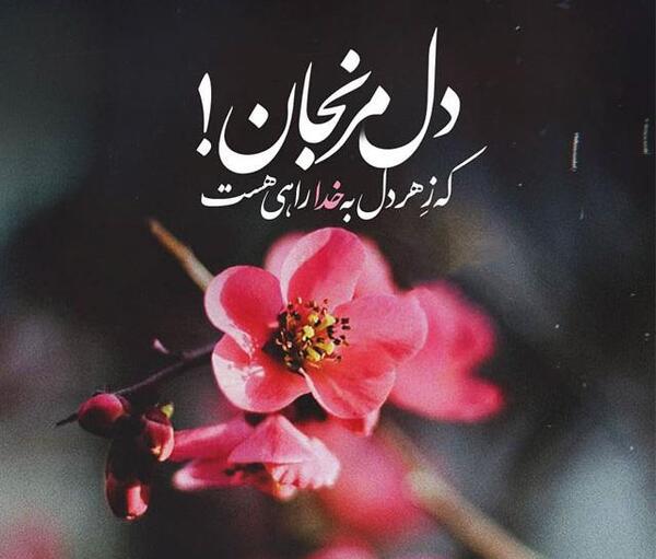 عکس نوشته زیبا جهت پروفایل