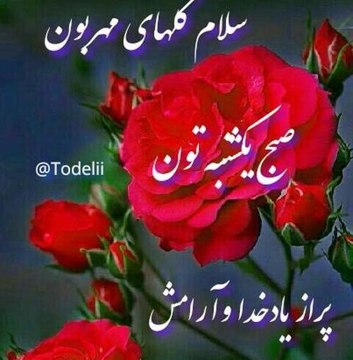 عکس پروفایل صبح بخیر چهارشنبه