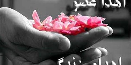 عکس سینا گوشبر