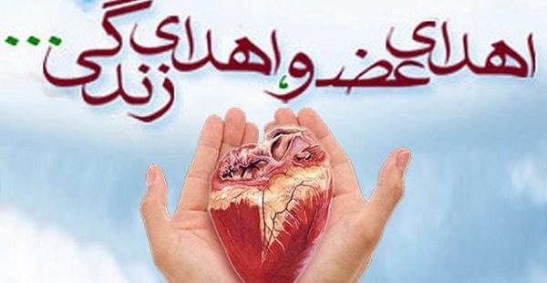 عکس سینا گوشبر