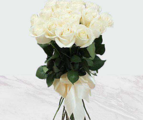 عکس گل رز حرفه ای