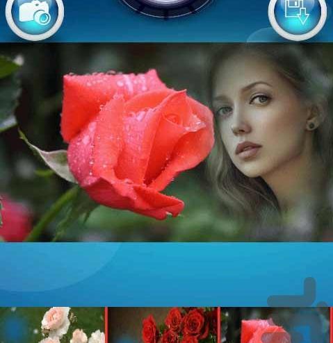 عکس گل رز حرفه ای