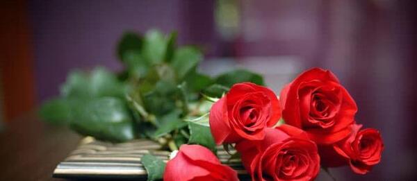 عکس گل رز حرفه ای
