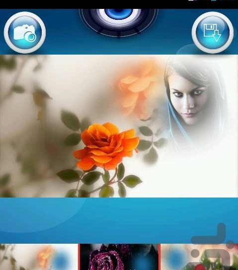 عکس گل رز حرفه ای