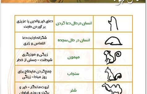 عکس شاهین در فال قهوه