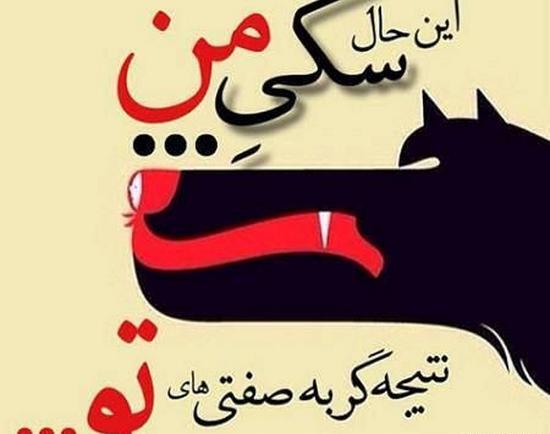 عکس لاتی تیکه دار