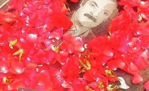 عکس قبر قاسم افشار