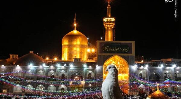 عکس حرم امام رضا عکس