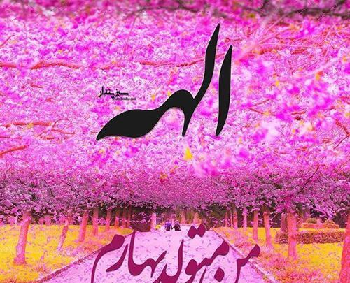 عکس نوشته تولدت مبارک الهه جان