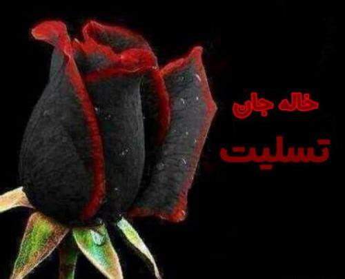 عکس نوشته چهل روز گذشت خاله