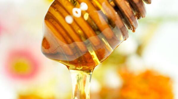 عکس عسل رازیانه