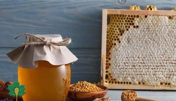 عکس عسل رازیانه