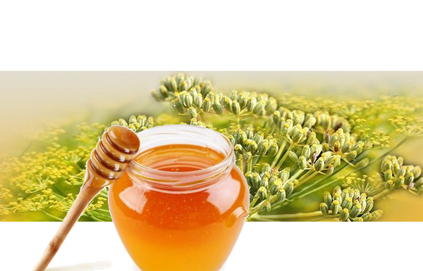عکس عسل رازیانه