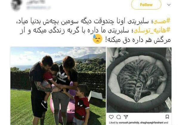 عکس گربه هانیه توسلی