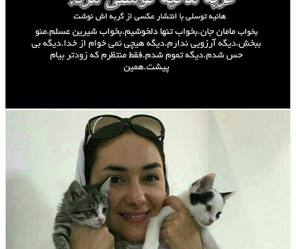 عکس گربه هانیه توسلی