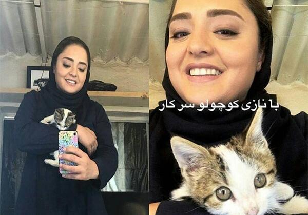 عکس گربه هانیه توسلی