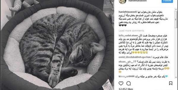 عکس گربه هانیه توسلی