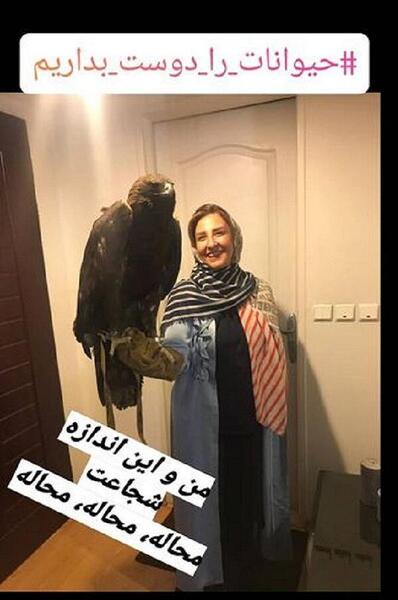 عکس عقاب غول پیکر