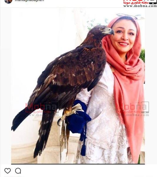 عکس عقاب غول پیکر