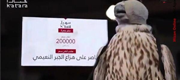 عکس شاهین بالابان
