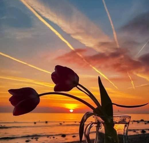 عکس پروفایل عاشقانه غروب