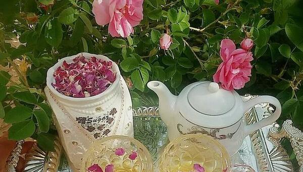 عکس سمیرا گل محمدی