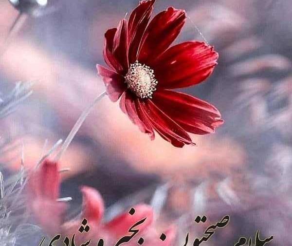 عکس صبح بخیر سلام