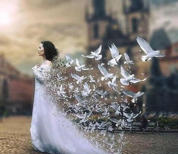 عکس نوشته آرزوی بر باد رفته