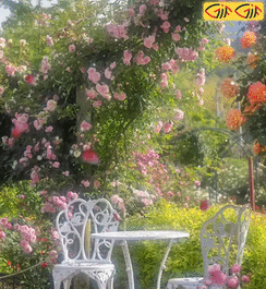 عکس طبیعت رویایی متحرک