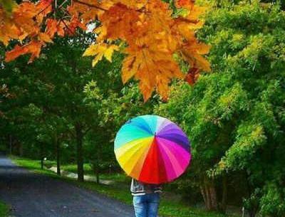 عکس چتر رنگی