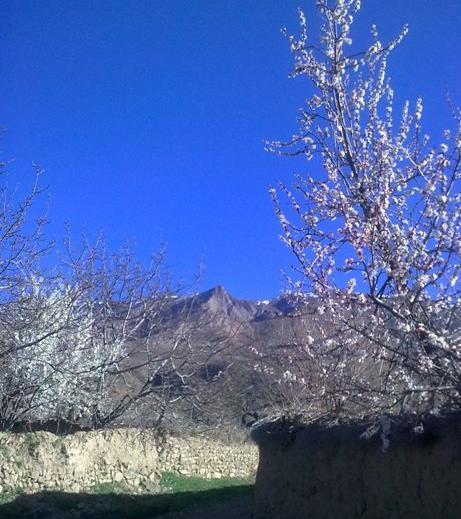 عکس از طبیعت نوروز