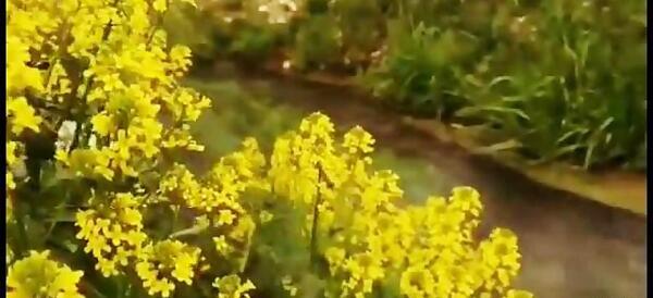 عکس چشمه بابا زرنگ