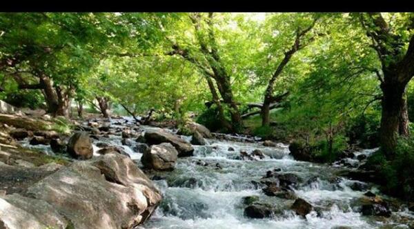 عکس چشمه بابا زرنگ