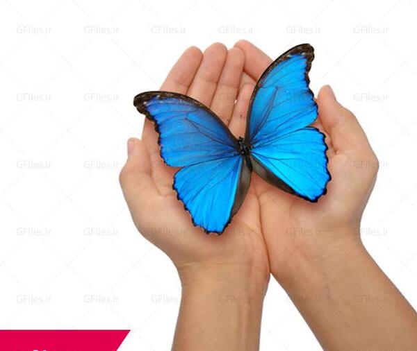 عکس پروانه و دست