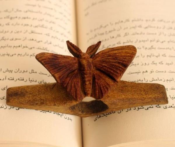 عکس پروانه و دست