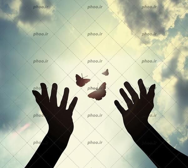 عکس پروانه و دست