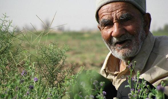 عکس پریا کشاورز