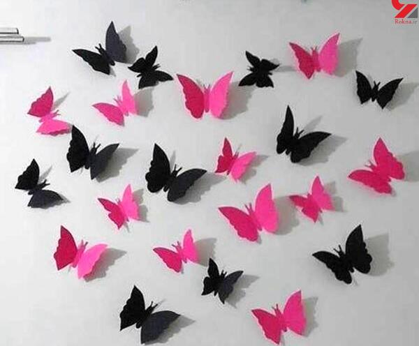 عکس پروانه روی دیوار