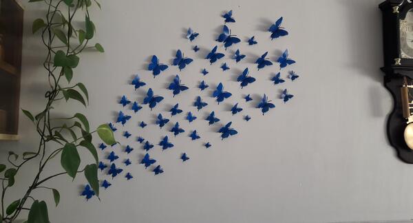 عکس پروانه روی دیوار