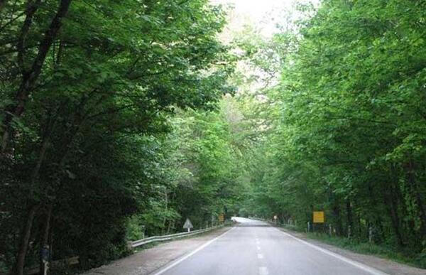 عکس تنگه چهل چای
